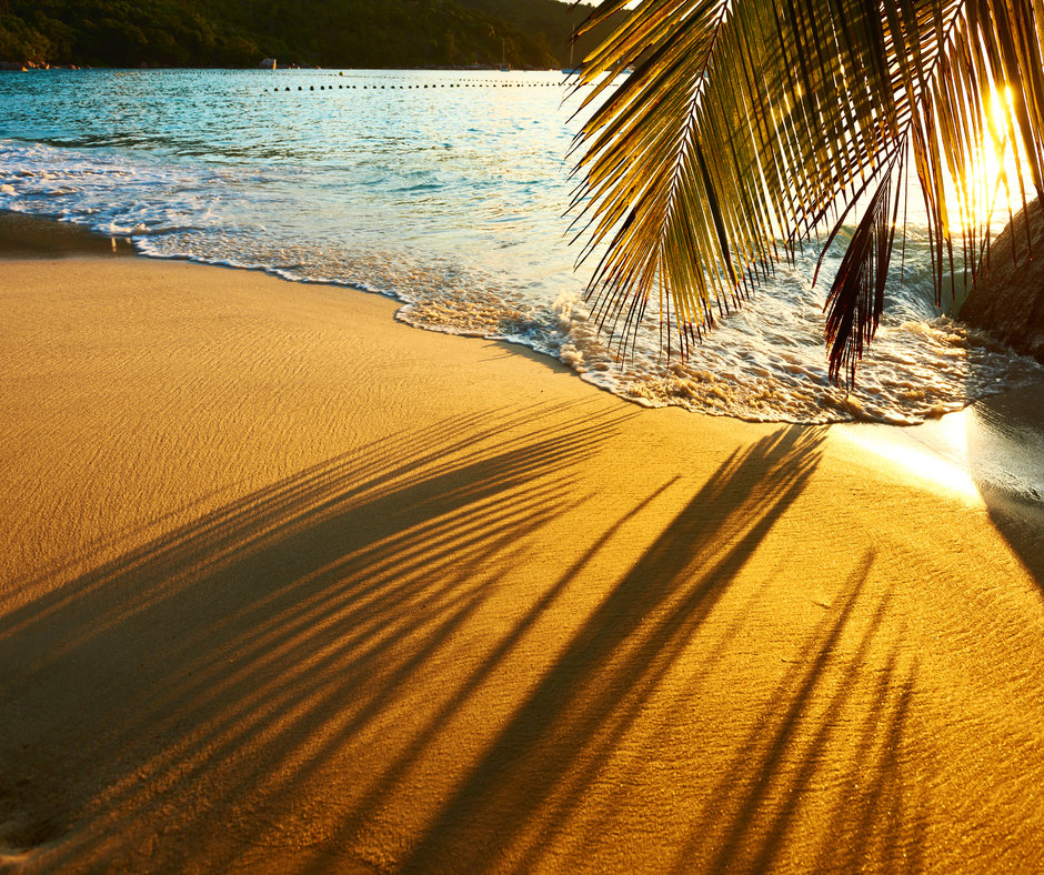 Beautiful sunset at Seychelles beach with palm tree shadow